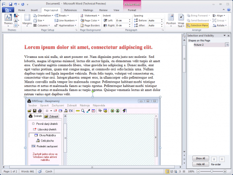 MS Word 2010 a Selection Pane