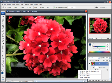 Adobe Photoshop CS3 Extended - Smart Filters