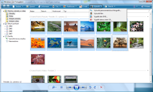 Windows Live Fotogalerie