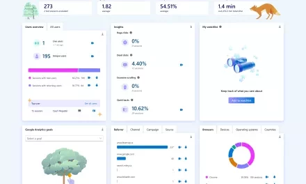 Clarity: šikovný nástroj pro vyhodnocení chování návštěvníků vašeho webu