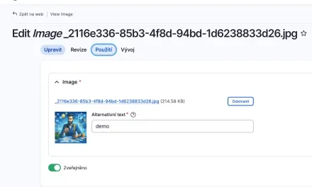Entity Usage: vyznejte se v propojeném obsahu v Drupalu