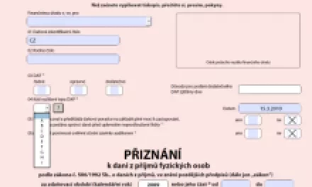 Jak vyplnit daňové přiznání? Online v PDF