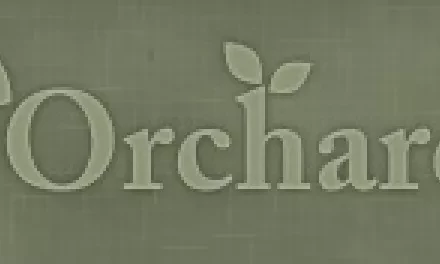 Orchard: redakční systém s možnostmi Drupalu, ale pro .NET