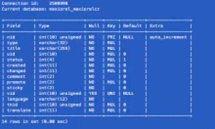 Základy práce s MySQL na příkazovém řádku