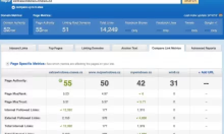 Open Site Explorer: výborná pomůcka nejen pro domácí SEO