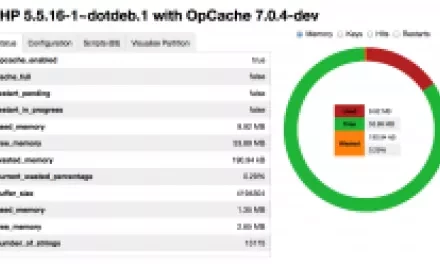 Už jste nasadili OPcache pro rychlejší weby na PHP? Sledujte její využití