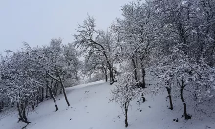 Hezké Vánoce 2016 a šťastný nový rok