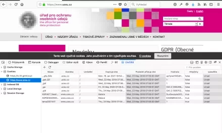 Jaké cookies si vlastně ukládá prohlížený web?