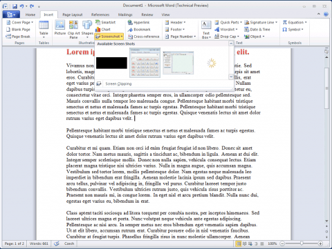 MS Word 2010 - a vkládání screenshotů