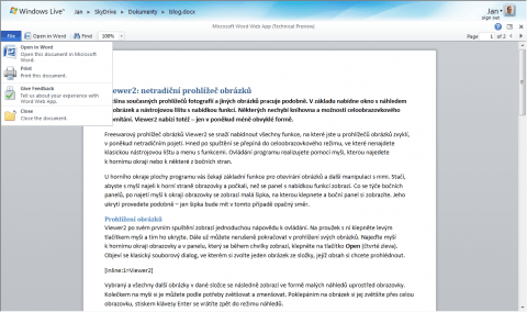Microsoft Office Web Apps Word
