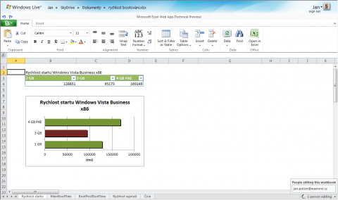 Microsoft Office Web Apps Excel