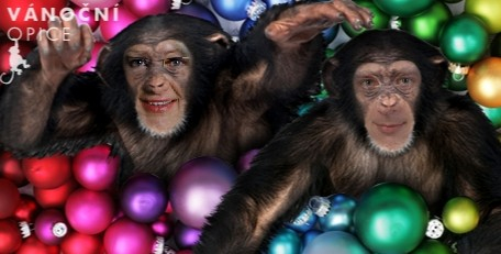 Vánoční přání s opicí