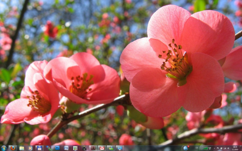 Stahujte téma vzhledu České jaro pro Windows 7