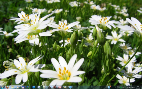 Stahujte téma vzhledu České jaro pro Windows 7