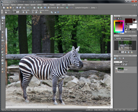 Corel Paint Shop Pro