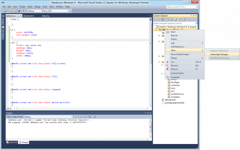 Visual Studio 2011
