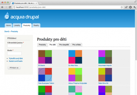 Drupal, Views a taby