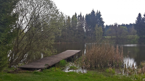 Rybík u hotelu Skalský dvůr