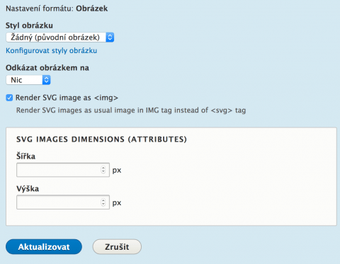Nastavení Svg Image v Drupalu 8