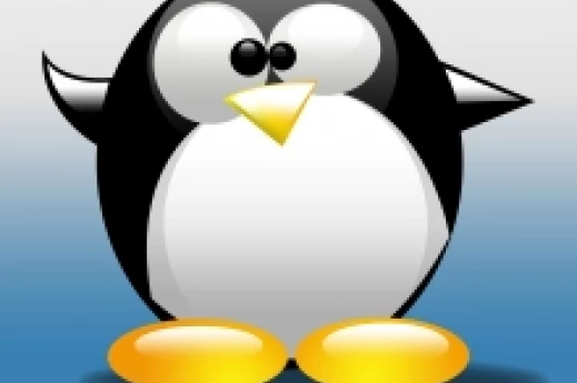Penguin 4 přichází a s ním změny ve vyhledávání na Google